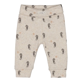 Pantalon de jogging hippocampe côtes