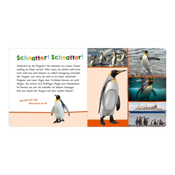 Soundbilderbuch Hör mal rein, wer kann das sein? - Im Ozean