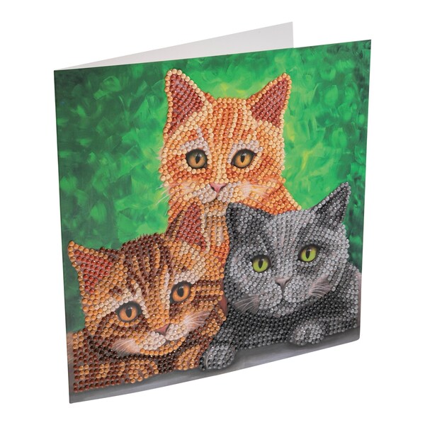 Aperçu du produit 3