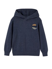 Kapuzenpullover mit Stickerei Jungen
