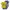 3-tlg. Set Body kurzarm, T-Shirt und Shorts Ringel Hubschrauber