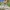 Citybike Atlantis 20 Zoll / 24 Zoll