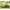 Trettraktor rollyKid Deutz-Fahr 5115 G TB mit Anhänger und Frontlader
