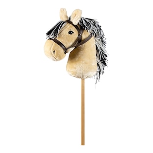 Steckenpferd Hobby Horse