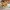 10472 Wir Bauen Tiere