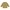 Wende-Collegejacke Palmen