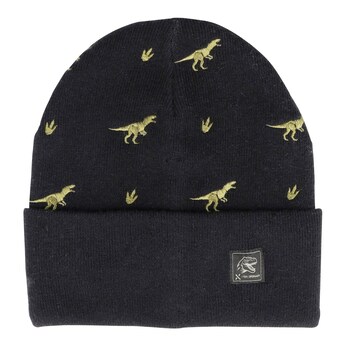 Winter-Strickmütze Dinos