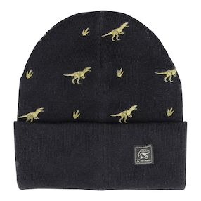 Winter-Strickmütze Dinos