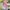 Set Kinderparty-Garnitur mit Bankkissen  
