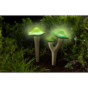 Lichtgevende paddenstoel “Duo”