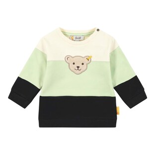 Sweatshirt Blockstreifen Bär