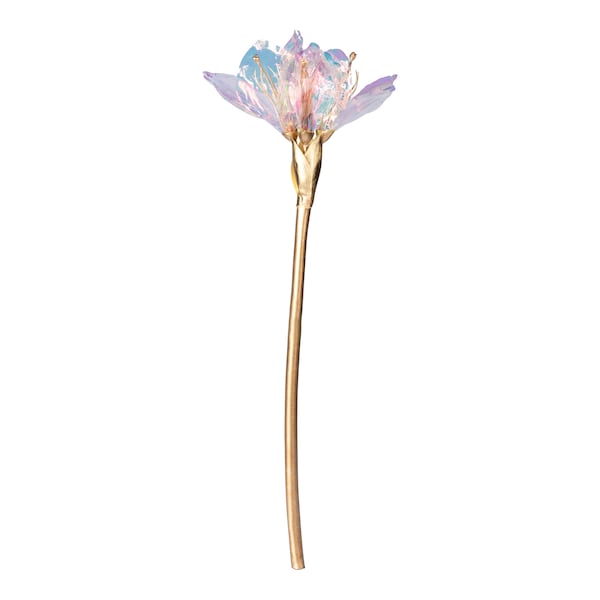 Produktvorschaubild 1