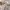 Fotoalbum Meerjungfrau Meereskinder