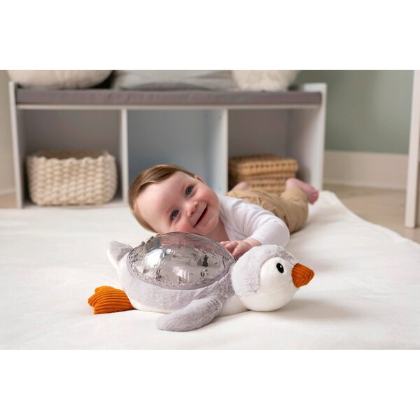 Aperçu du produit 9