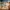 10469 Pizza-Schwestern mit Muffin und Bluey