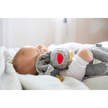 Kuscheltier Schnullerhase