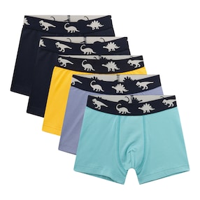 Lot de 5 boxers dinosaures