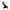 Buggy inkl. Babyzen Textilset