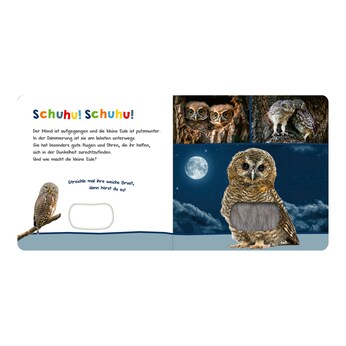 Soundbilderbuch Hör mal rein, wer kann das sein? - Tiere in der Nacht