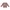 Shirt langarm Tiere