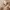 Greifling Holz Natur und Baumwolle mit Rassel Affe - ab Geburt