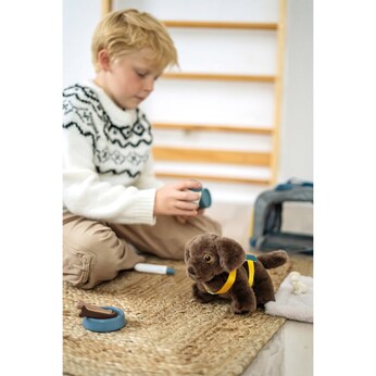 Kuscheltier Haustier Set Hund