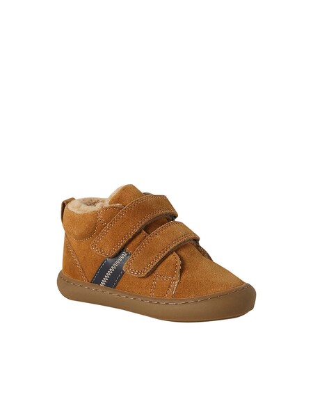 camel