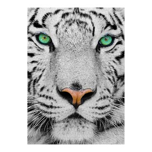 Puzzle "White Sibirien Tiger", 1000 pièces