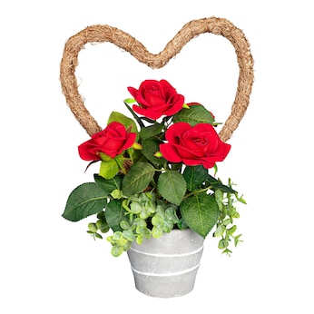 Blumenarrangement Rosen-Topf „von Herzen“