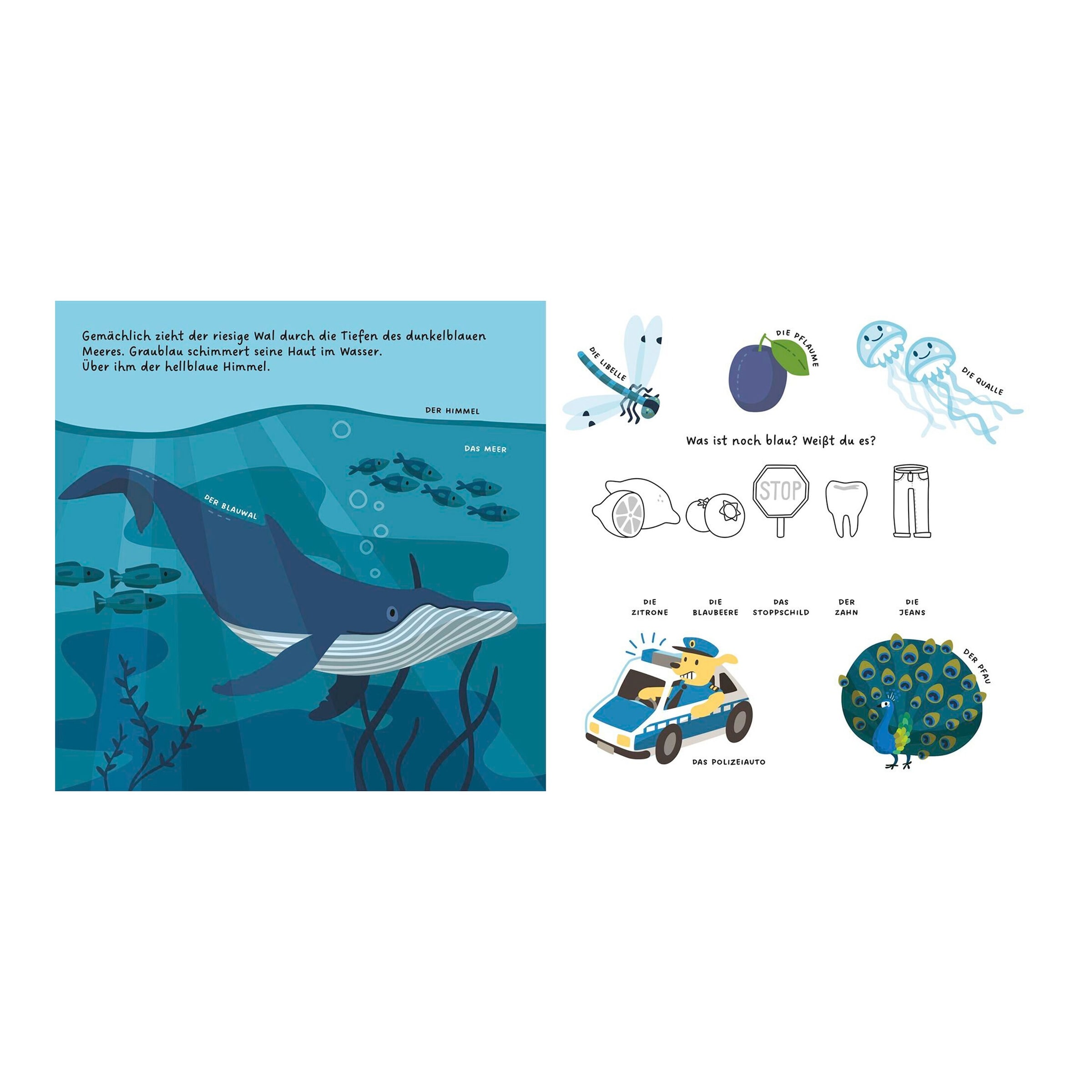 Pappbilderbuch Kennst du die Farben?