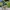 Mountainbike Kansas 20 Zoll / 24 Zoll