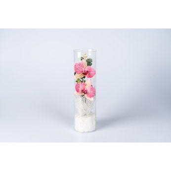 Orchidée à LED en verre