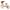 Laufrad LR 1L Classic mit Bremse