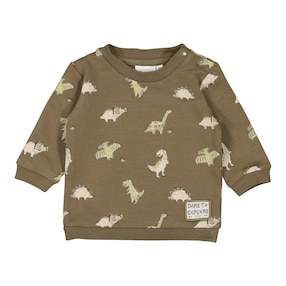 Sweatshirt Dinos