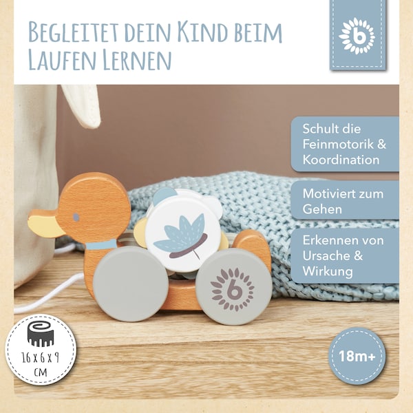 Produktvorschaubild 31