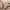 Babytrage Harmony 3D Mesh