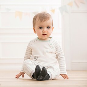 Raglanshirt Elefant