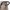 Elodie MONDO Stroller - Tender Taupe