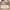 Kinder Teppich Maui Kids Happy Animals Bunt Rund