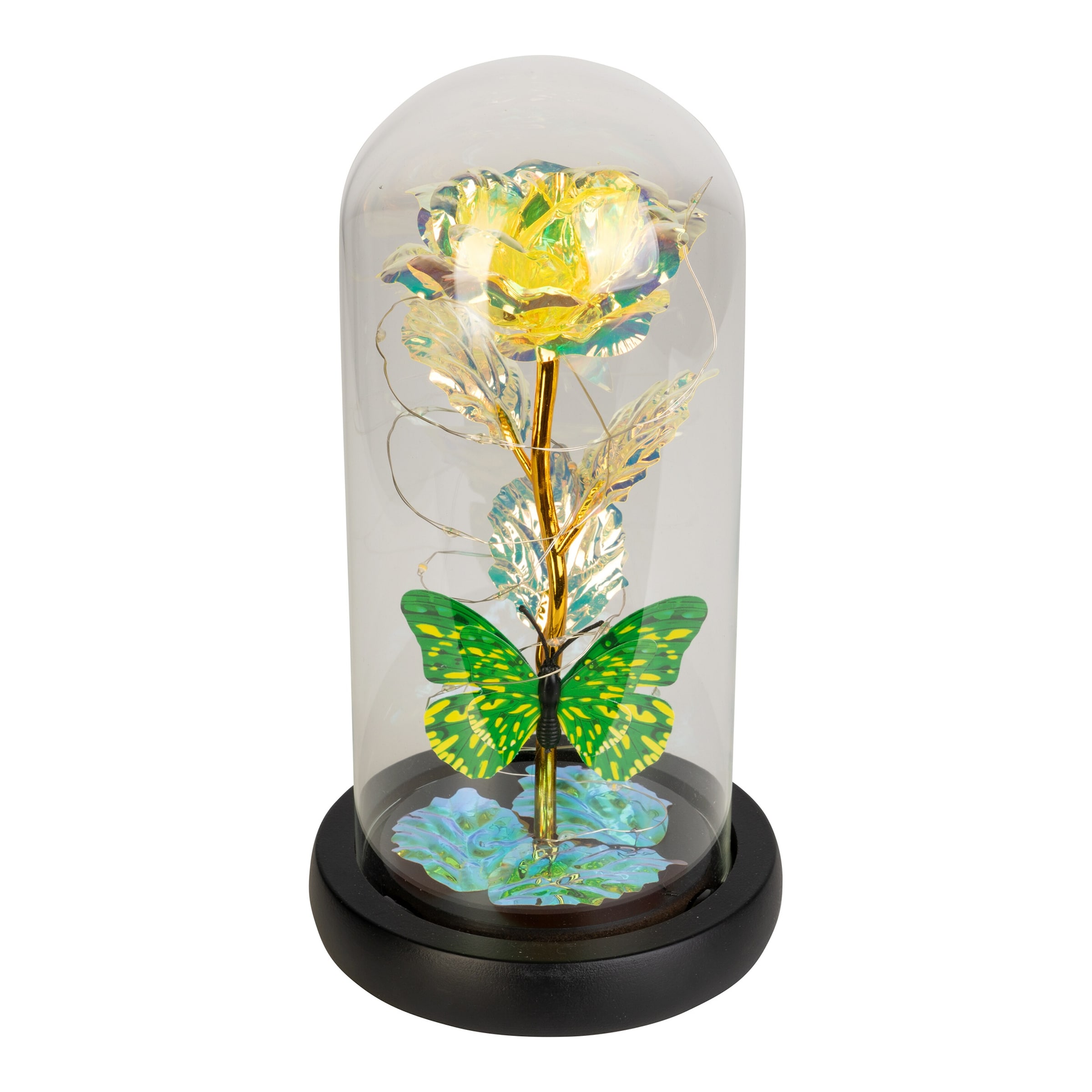 Image of Ewige Rose im Glas „Farbenzauber“