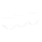 Baumwoll-Taillenslip