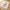 Spiel- und Krabbeldecke Savanna Friends