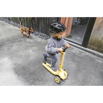 Scooter Push 