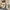 Babynahrungszubereiter und Sterilisator NutribabyPlus
