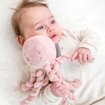 Kuscheltier Oktopus Lapidou