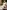 Still-Kleid Ofelia