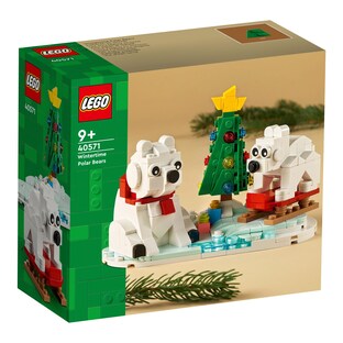 40571 Eisbären im Winter