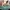 42688 Pferdestall und Reitschule