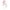 5er-Pack Bodys langarm Blumen Herzen