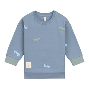 Sweatshirt Skateboards